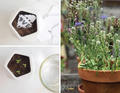 Bees Blank Plantable Wildflower Seed Card