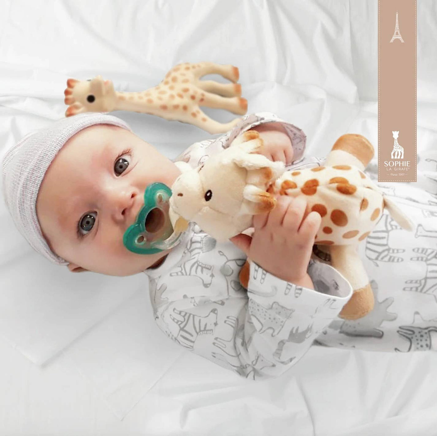 Sophie the Giraffe RaZbuddy Paci Holder - JollyPop