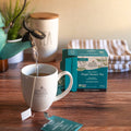 Earth Mama Organics - Organic Ginger Nausea Tea