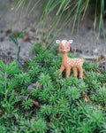 Sophie Fanfan Fawn Brown Version